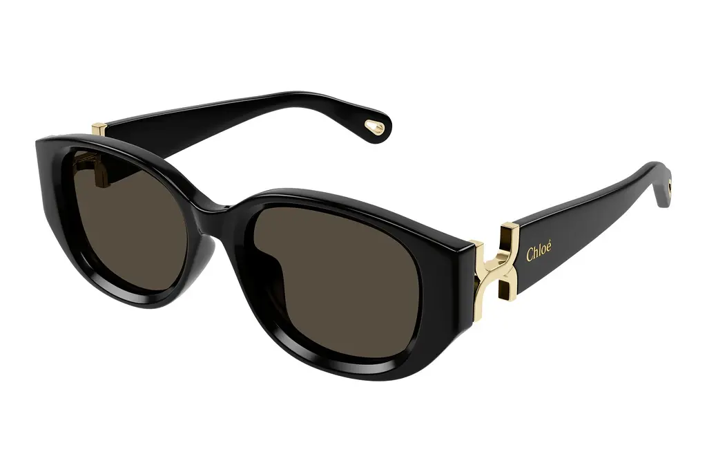 Chloé   CH0237SK 001 BLACK