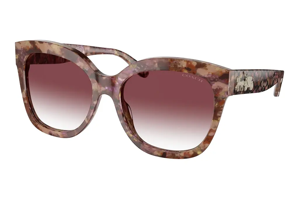 Coach   HC8264 57398H Purple Clear GradientPetal Tortoise