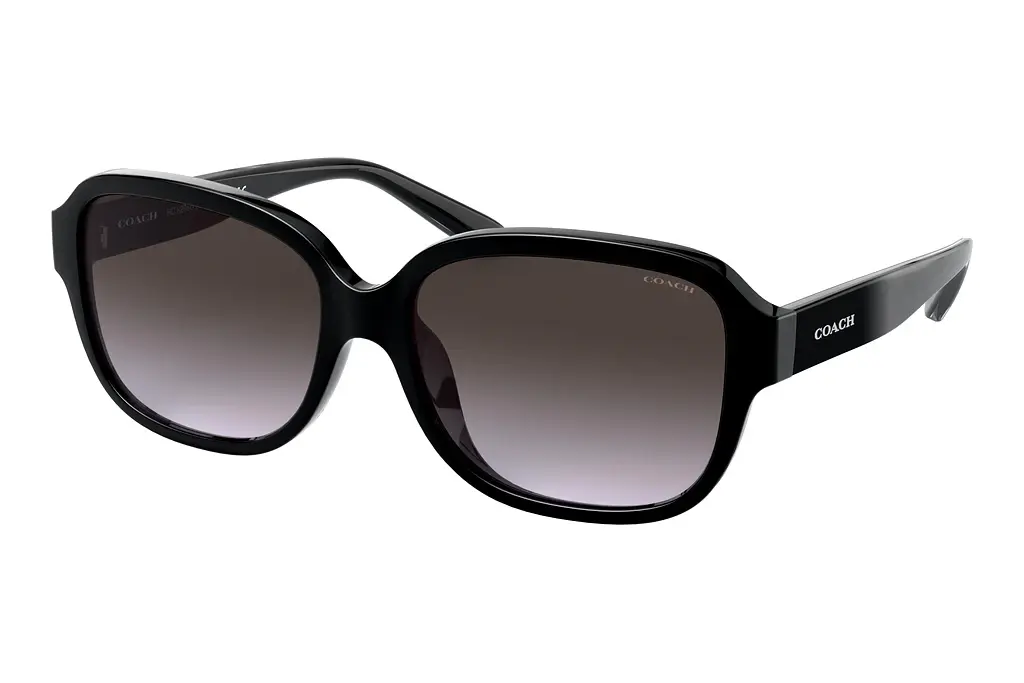 Coach   HC8298U 50028G Dark Grey GradientBlack