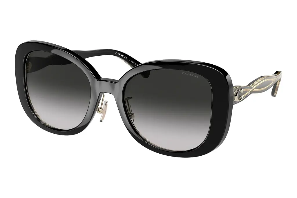 Coach   HC8333 50023C Grey GradientBlack