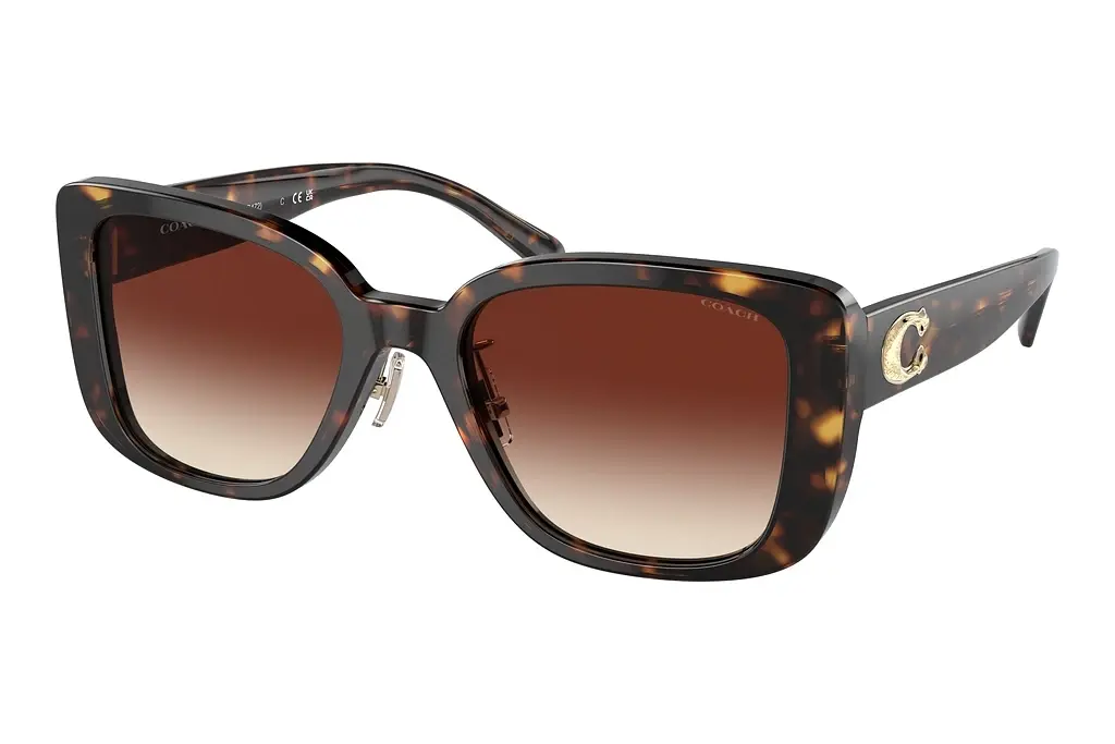 Coach   HC8352 512013 Dark Brown GradientDark Tortoise
