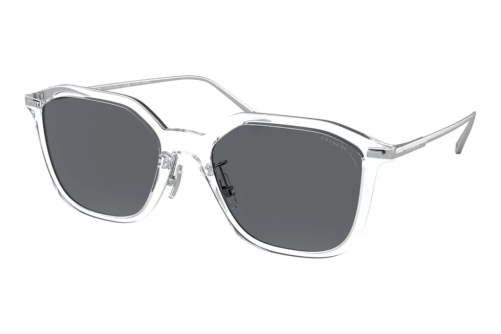 Coach   HC8355 511181 Gray Solid PolarClear