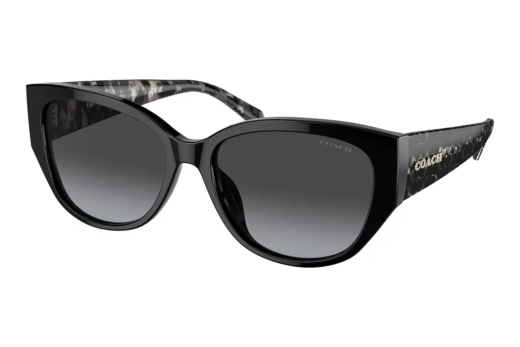 Coach   HC8362U 50028G Grey GradientBlack