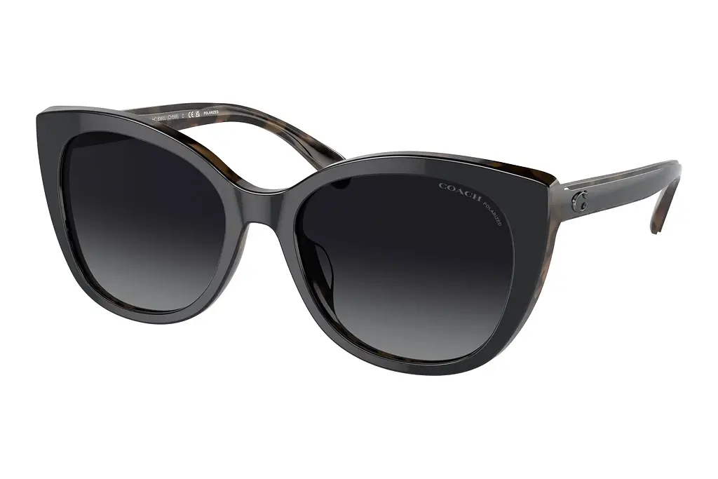 Coach   HC8365U 5764T3 Grey Gradient PolarBlack/Dark Tortoise