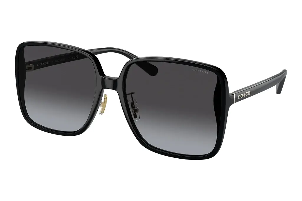 Coach   HC8368D 50028G Grey GradientBlack
