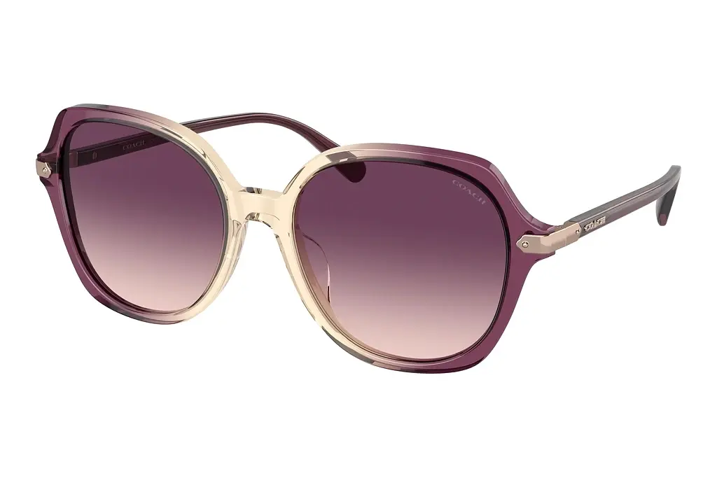 Coach   HC8377U 57737W Purple GradientMulti