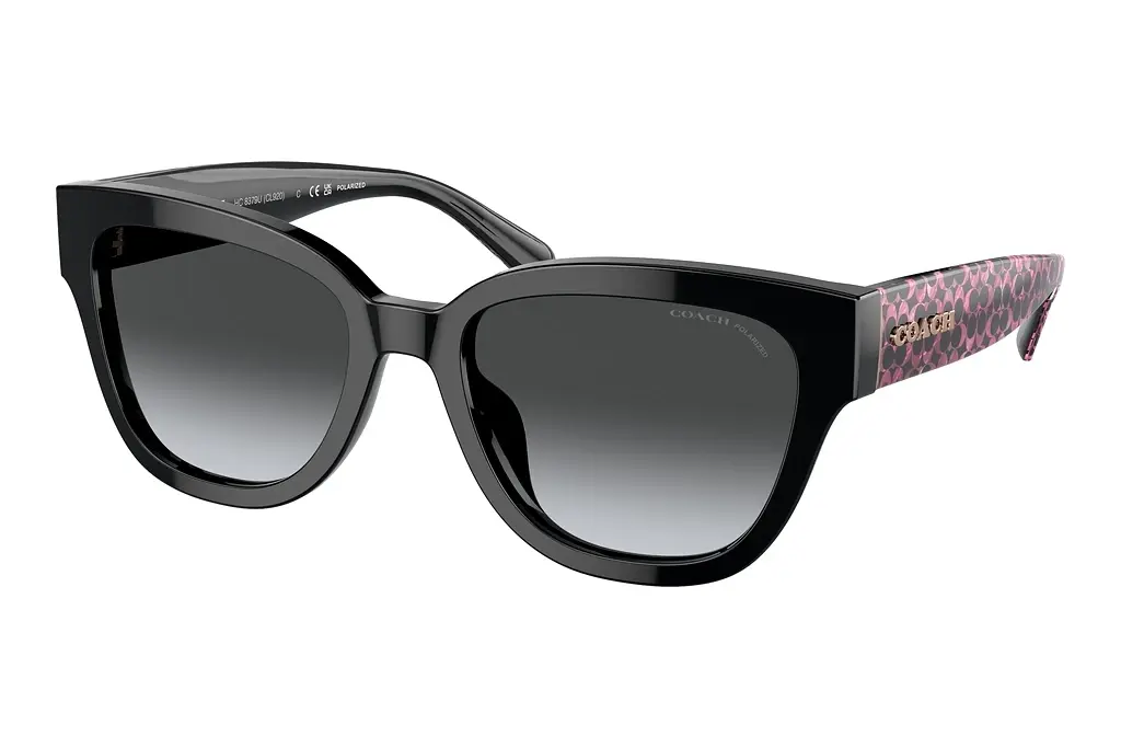 Coach   HC8379U 5002T3 Grey Gradient PolarBlack