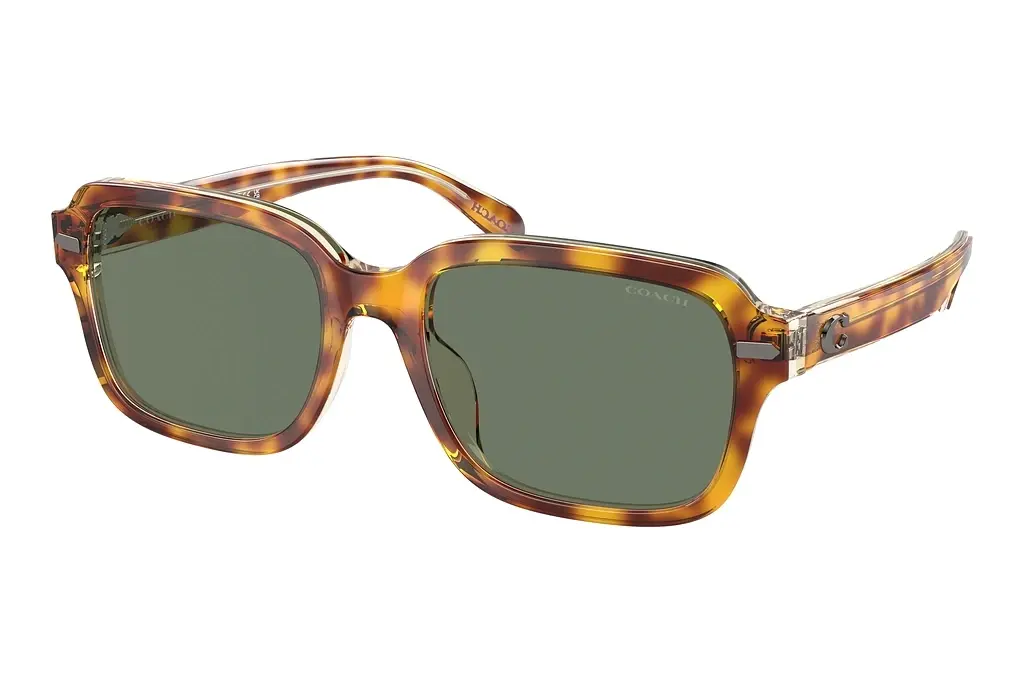 Coach   HC8388U 57563H Green SolidDark Tortoise/Canary