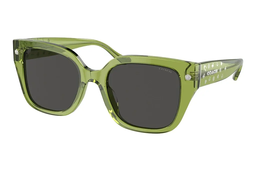 Coach   HC8392U 581087 Grey SolidTransparent Key Lime