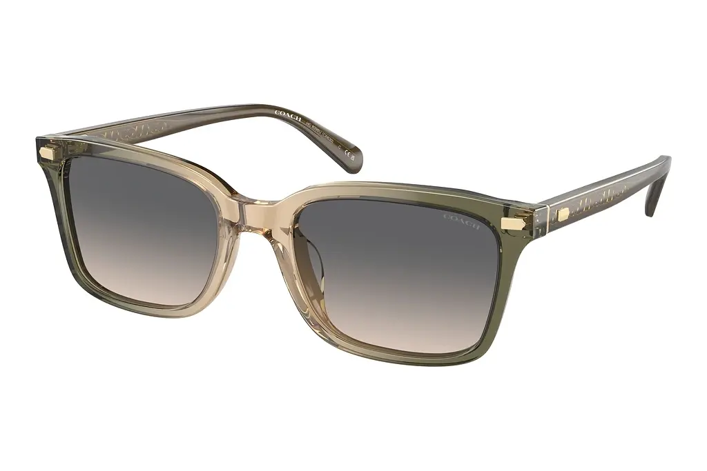 Coach   HC8398U 5797G9 Green SandOlive Tan Gradient