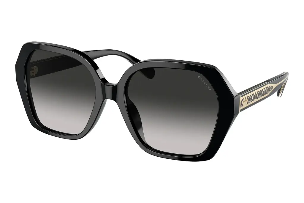 Coach   HC8404U 50023C Grey GradientBlack