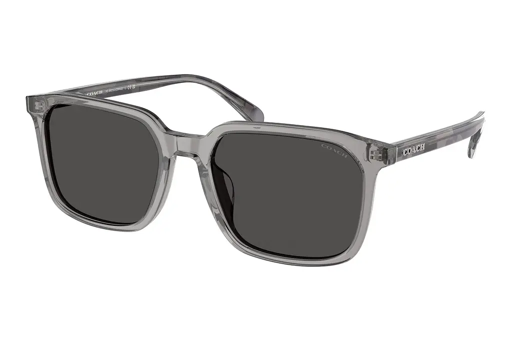 Coach   HC8411U 584987 Grey SolidTransparent Grey