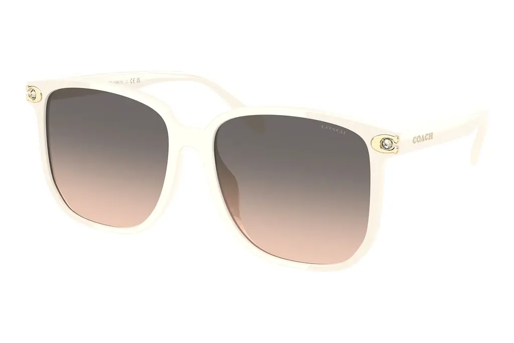 Coach   HC8413BD 5853G9 Warm Grey GradientIvory Solid