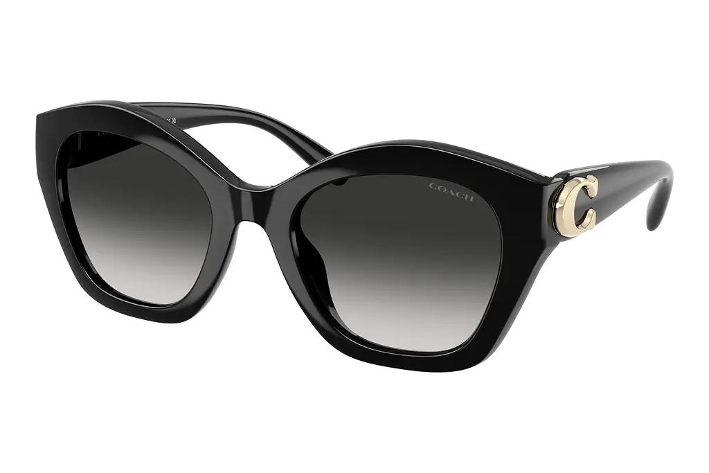 Coach   HC8421U 50023C Grey GradientBlack