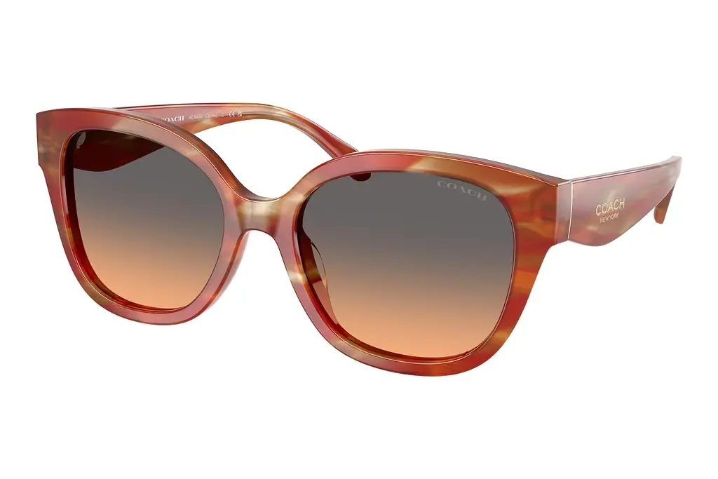 Coach   HC8438U 590018 Smokey Peach GradientStriated Chestnut