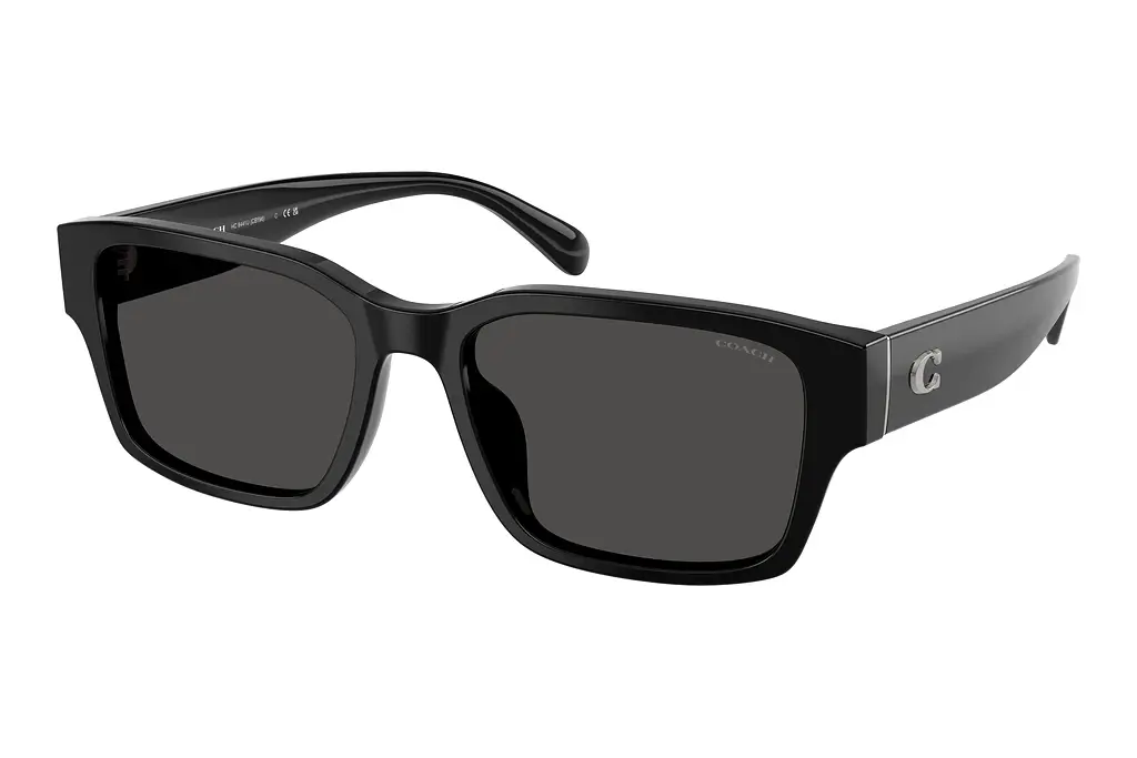 Coach   HC8441U 500287 Grey SolidBlack