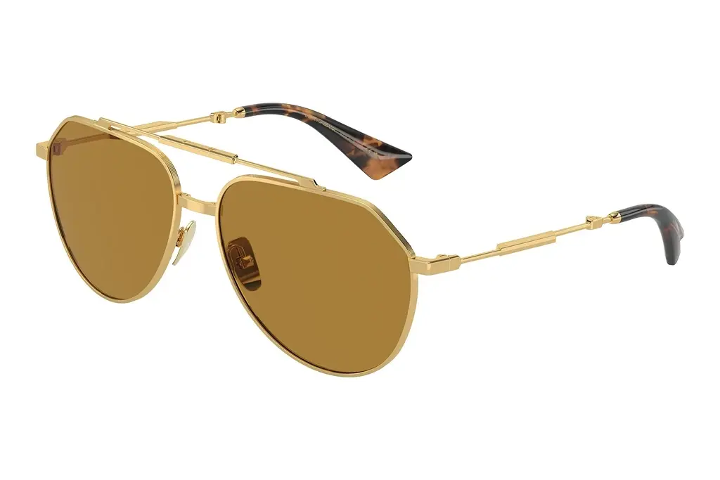 Dolce & Gabbana   DG2302 02/53 BrownGold