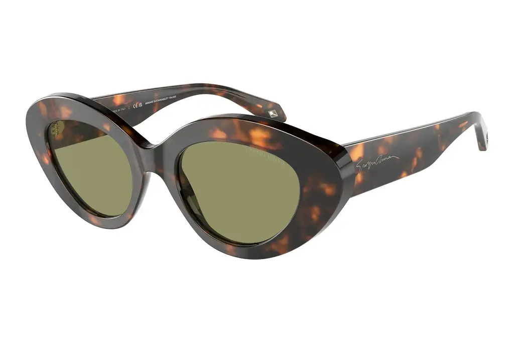Giorgio Armani   AR8188 599314 GreenHoney Havana
