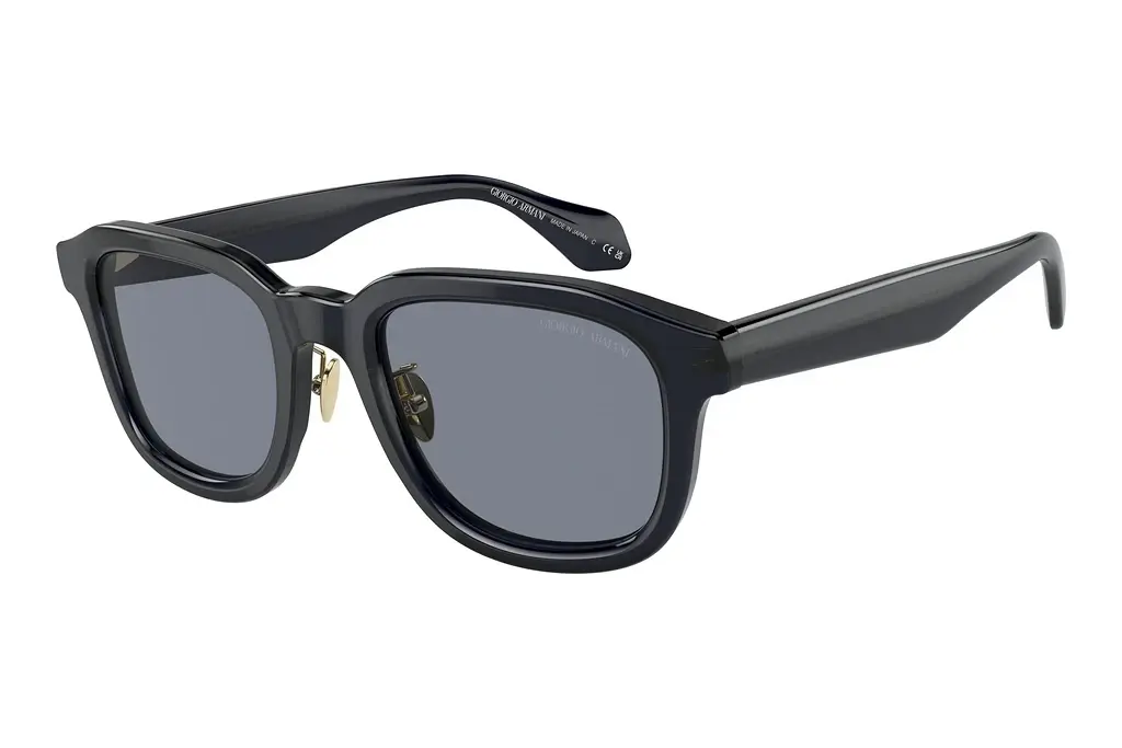Giorgio Armani   AR8206 606419 BlueTransparent Blue