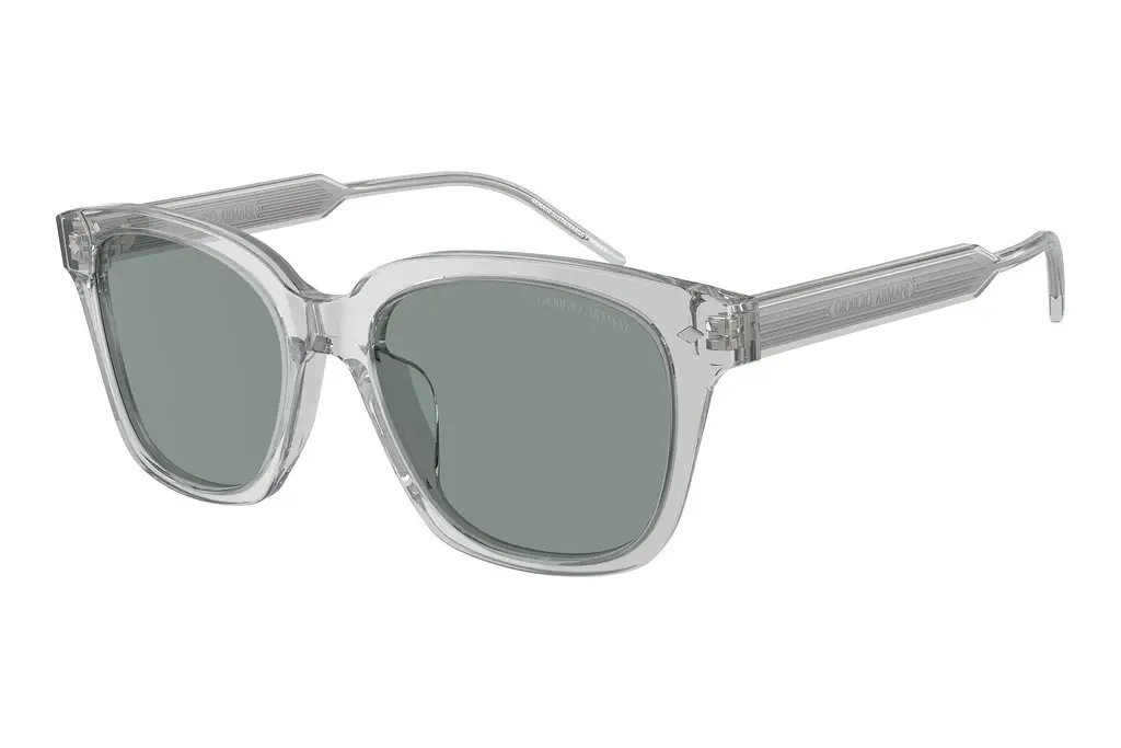 Giorgio Armani   AR8210U 608056 BlueTransparent Grey