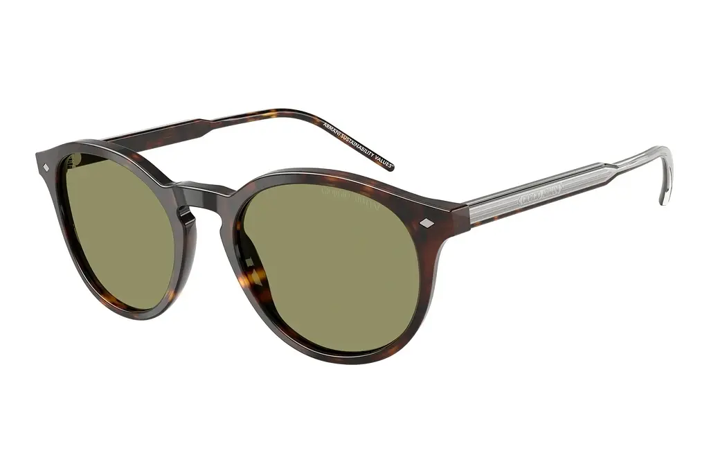 Giorgio Armani   AR8211 587914 GreenHavana