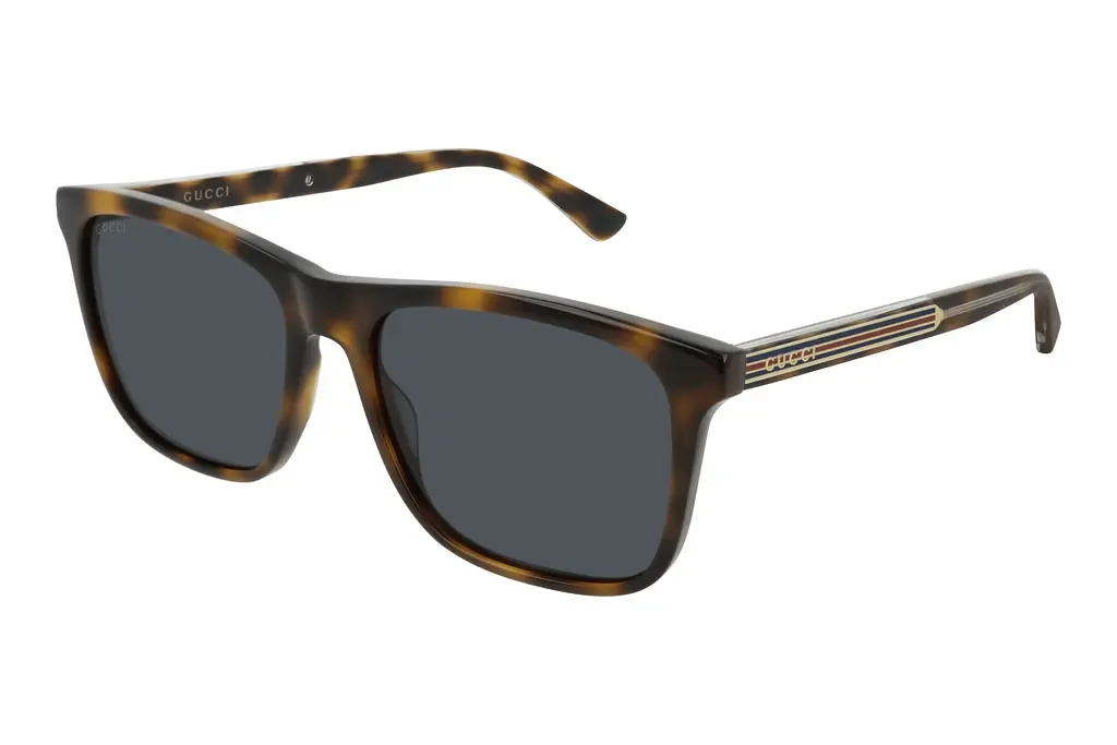 Gucci   GG0381SN 009 BLUEHAVANA