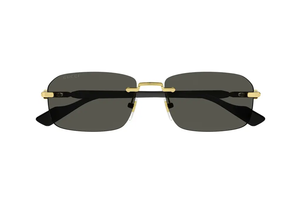 Vorderansicht Gucci GG1221S (001)