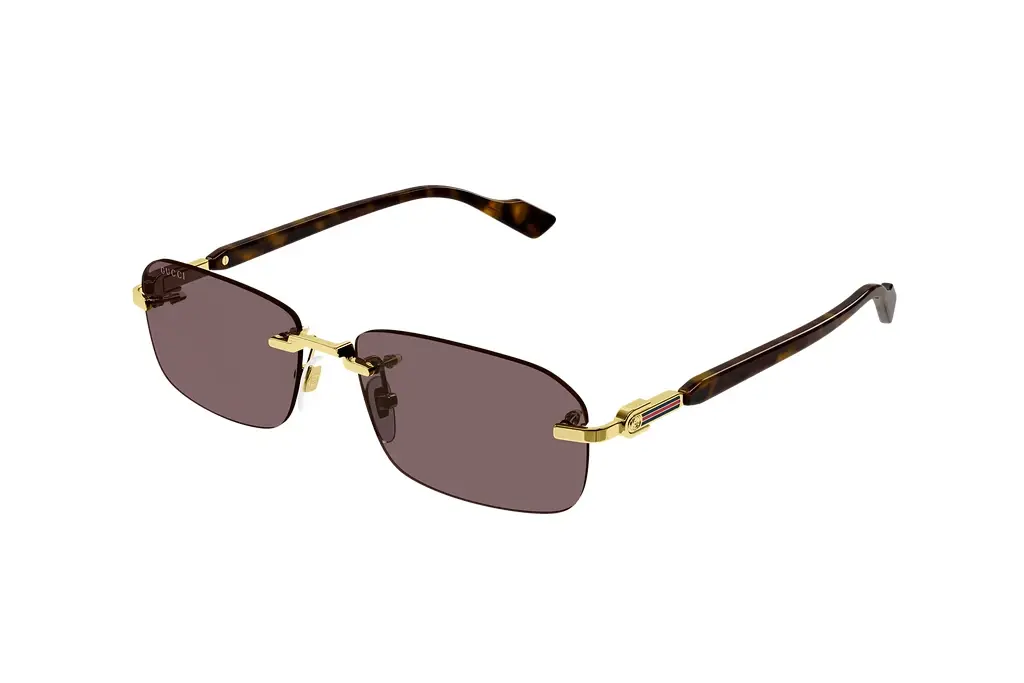 Vorderansicht Gucci GG1221S (002)