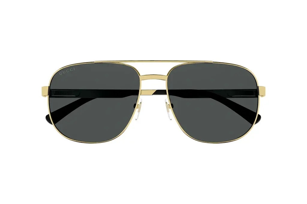 Vorderansicht Gucci GG1223S (002)