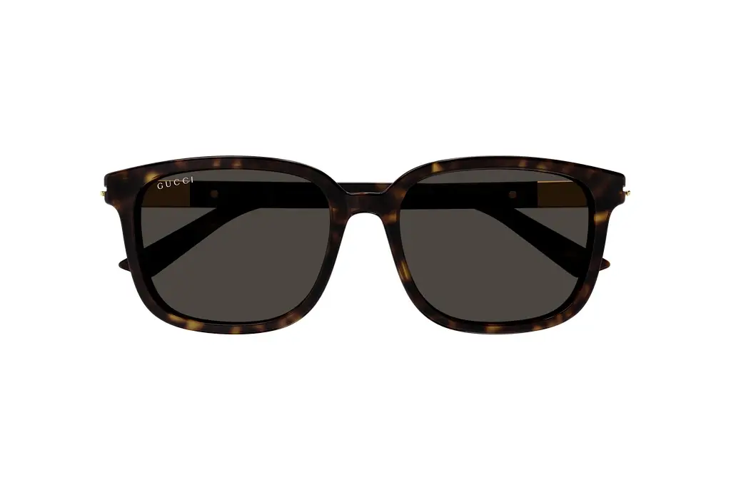 Vorderansicht Gucci GG1505SK (002)