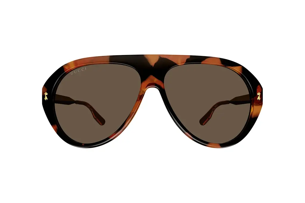 Vorderansicht Gucci GG1515S (002)
