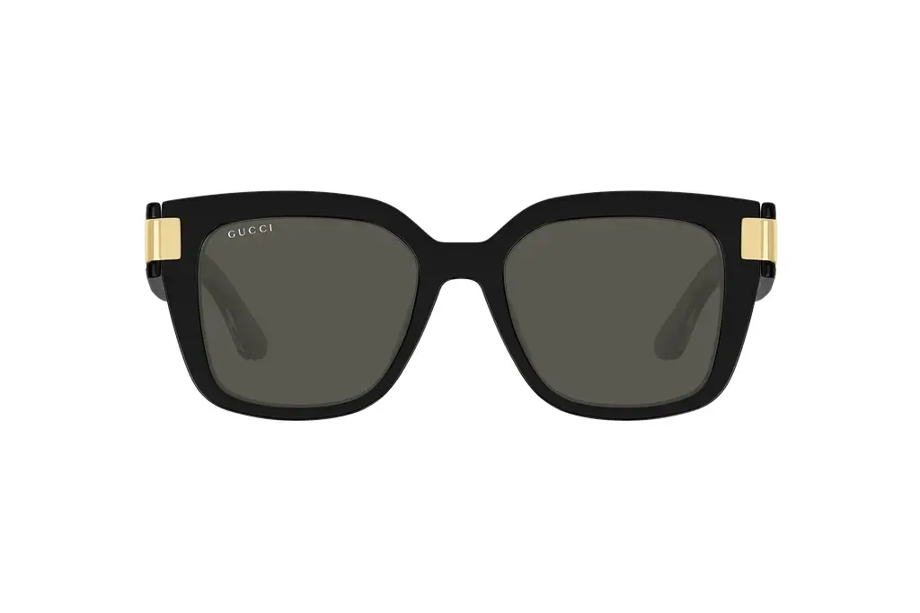 Vorderansicht Gucci GG1690SK (001)