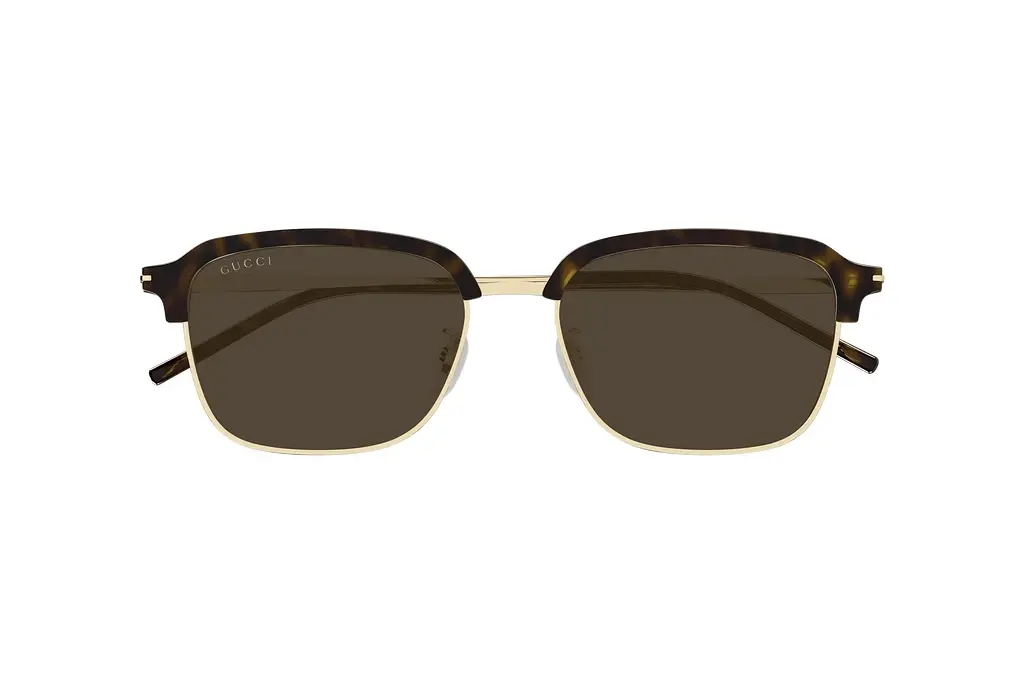 Vorderansicht Gucci GG1733SK (002)
