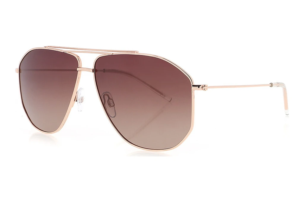 HIS Eyewear   HPS14112 2 brown gradient POLrose