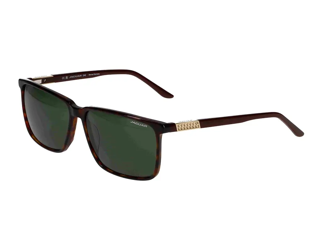 Vorderansicht Jaguar 37123 (8940)