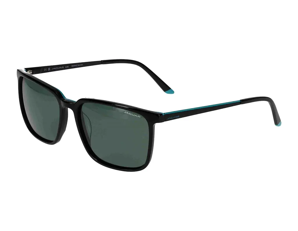 Vorderansicht Jaguar 37263 (8840)