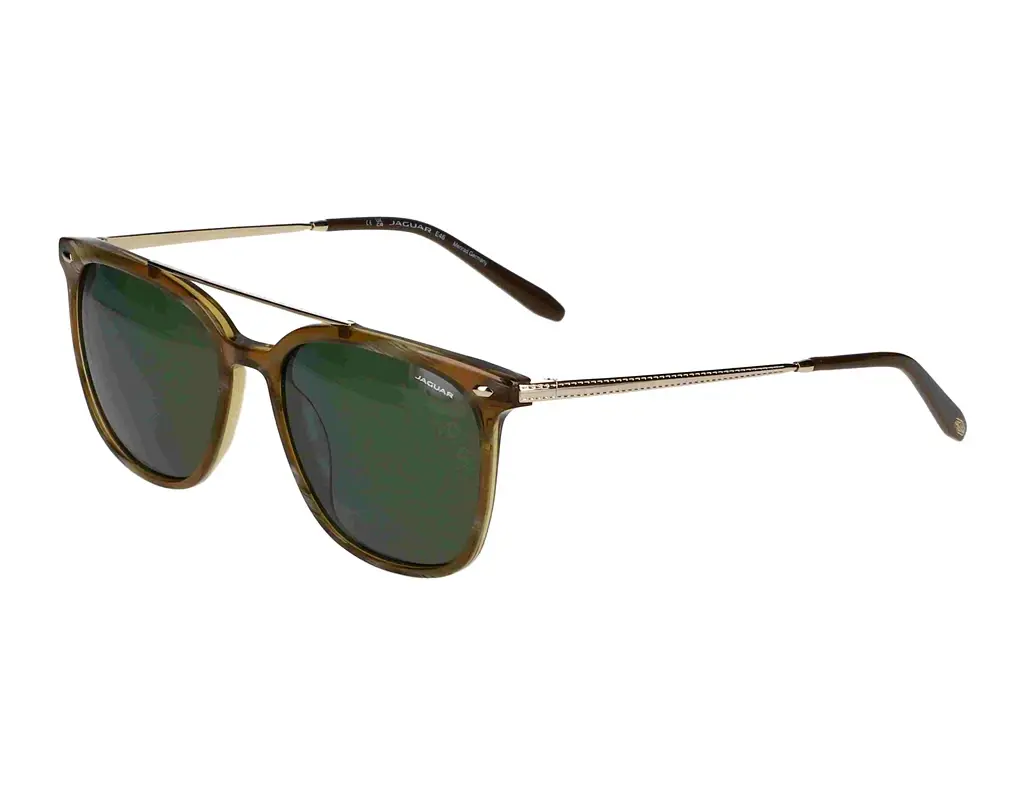 Vorderansicht Jaguar 37283 (5286)