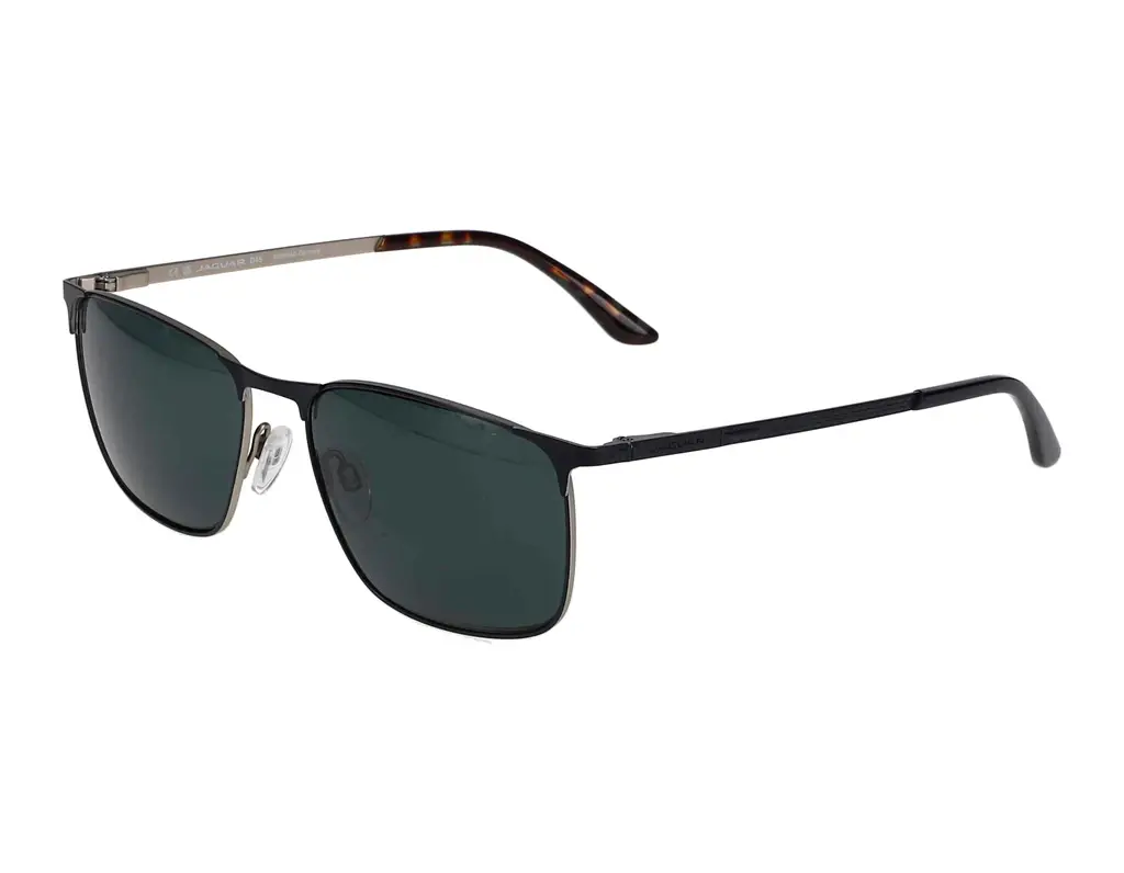 Vorderansicht Jaguar 37369 (3100)
