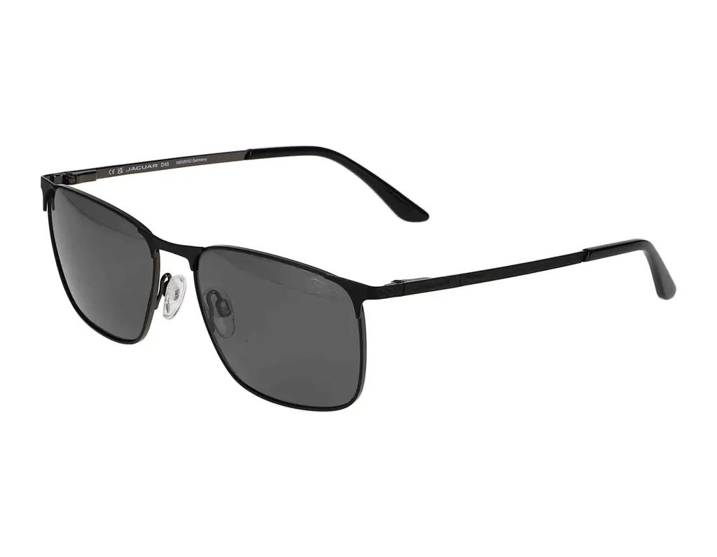 Vorderansicht Jaguar 37369 (6100)