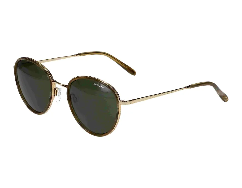 Vorderansicht Jaguar 37467 (5286)