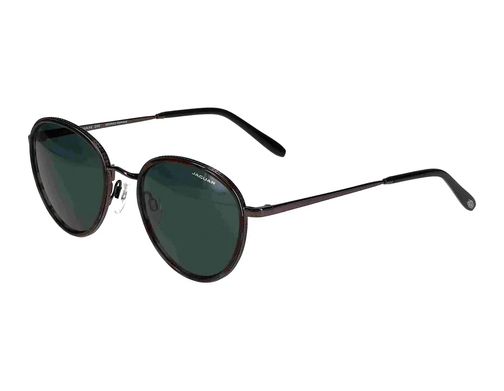 Vorderansicht Jaguar 37467 (5333)