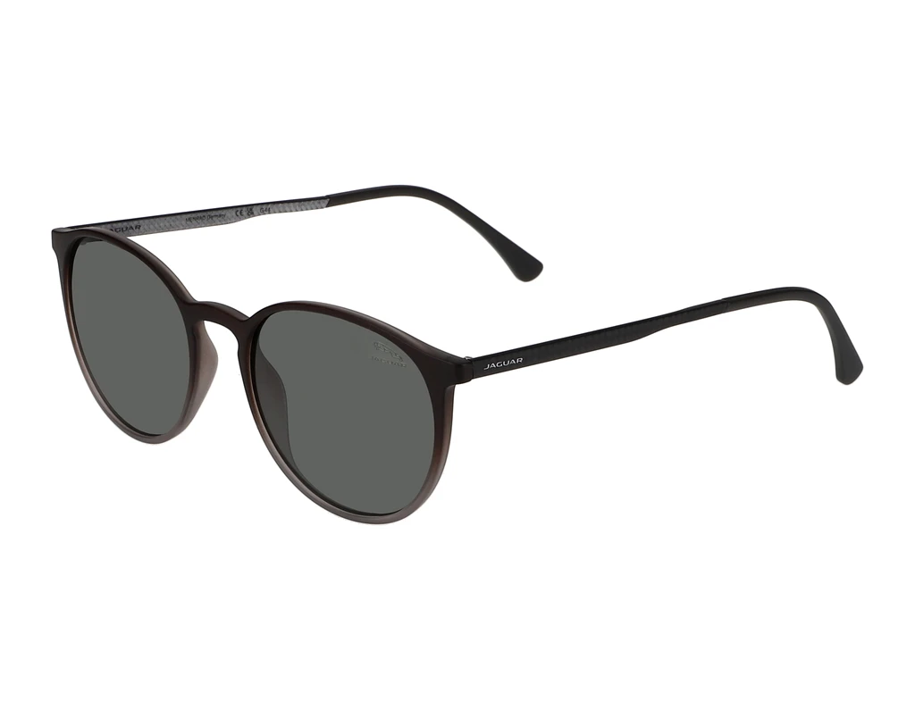 Vorderansicht Jaguar 37613 (5100)