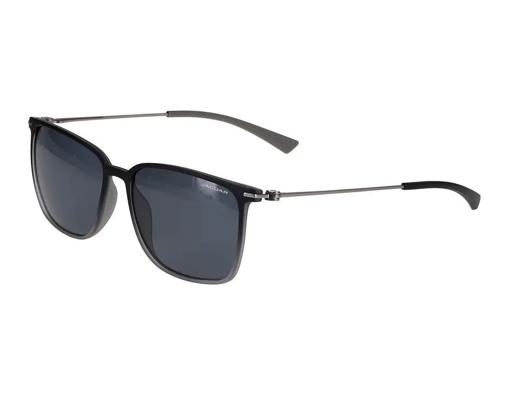 Vorderansicht Jaguar 37625 (6500)