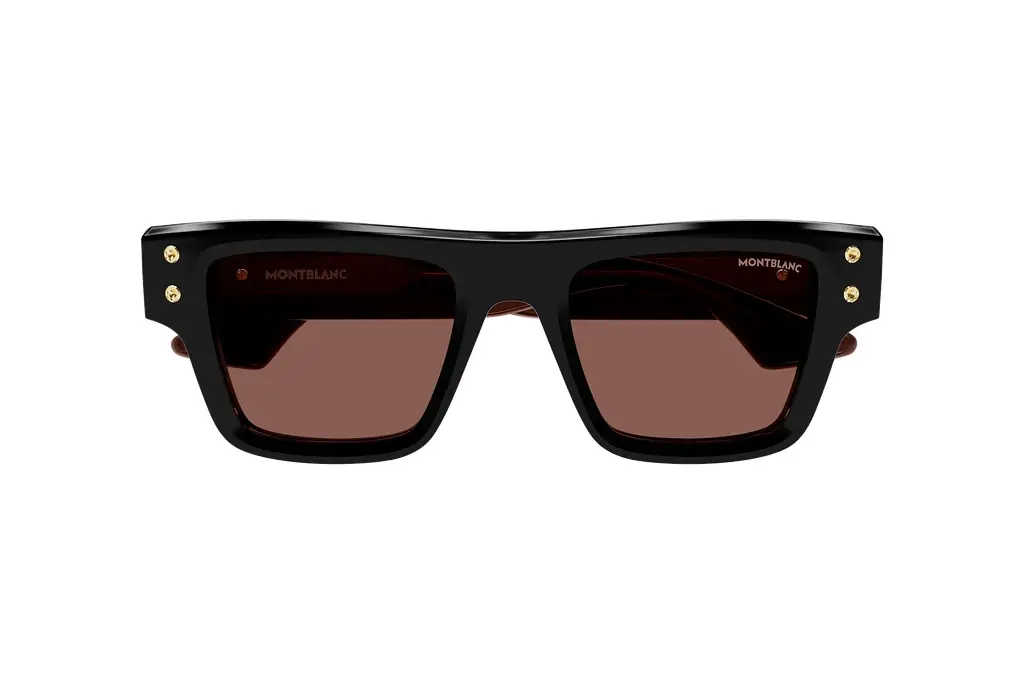 Vorderansicht Mont Blanc MB0253S (008)