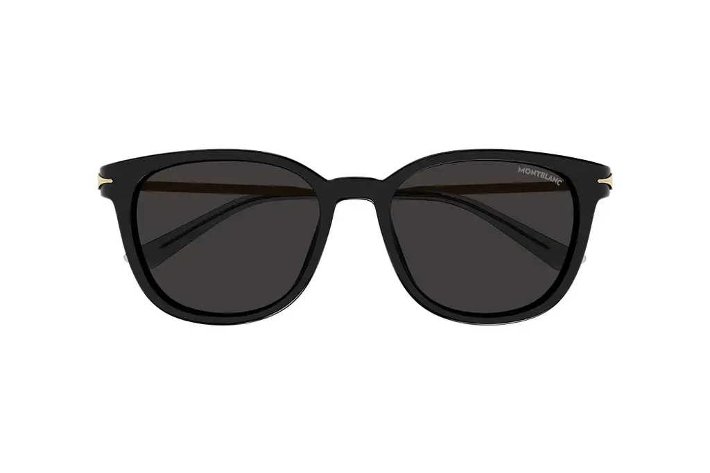 Vorderansicht Mont Blanc MB0304SA (001)