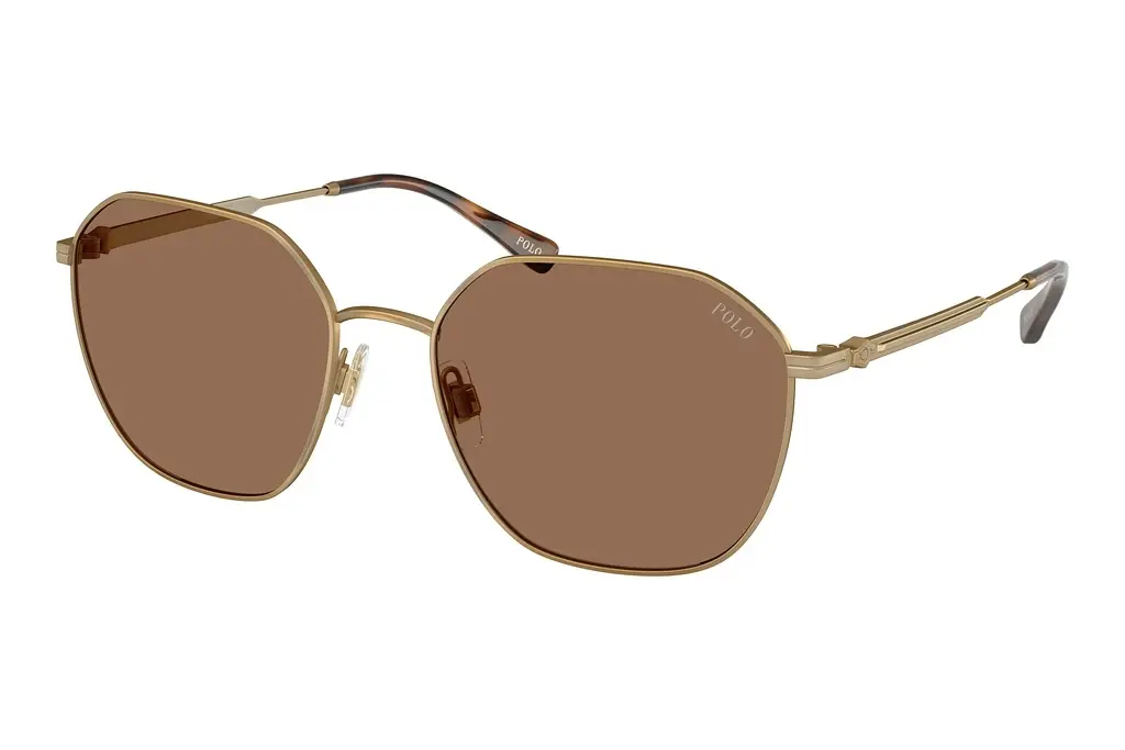 Polo   PH3160 944973 Dark BrownSemishiny Antique Gold