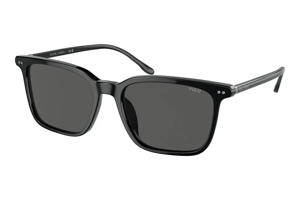 Polo   PH4194U 500187 GreyShiny Black