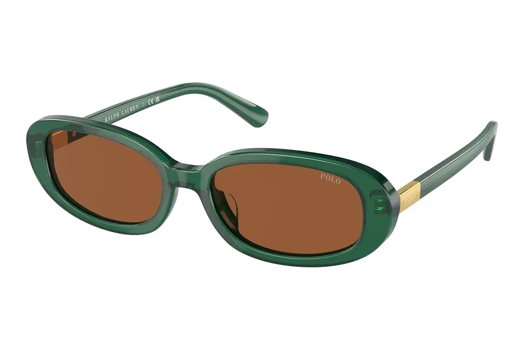 Polo   PH4198U 619573 BrownShiny Transparent Green