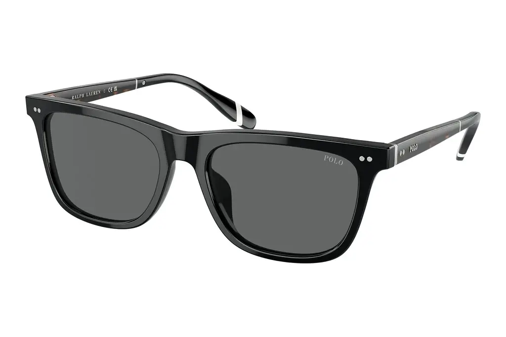 Polo   PH4205U 500187 Dark GreyShiny Black