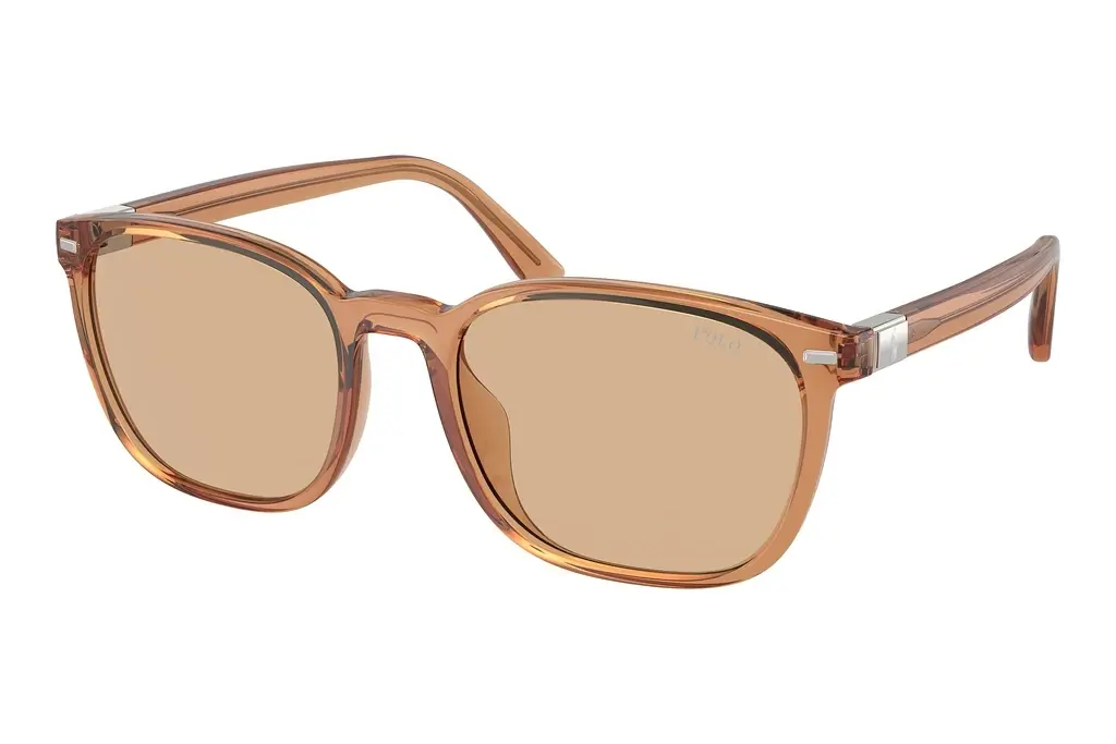 Polo   PH4208U 604873 Light BrownShiny Transparent Brown